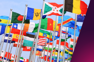 A picture of a collection of flags