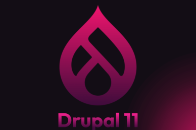 Drupal 11