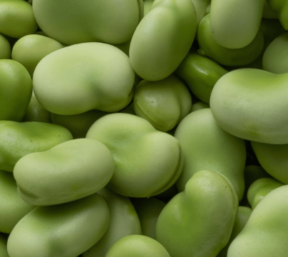 broad beans banner