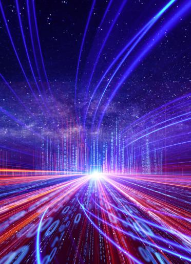 The Network Information