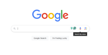 voice first search and design