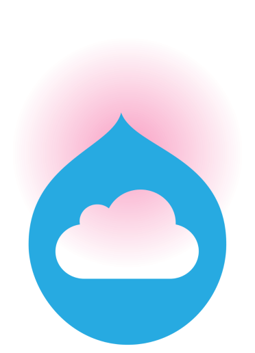 Drupal Web Development and CMS Solutions A stylised Drupal logo in blue with a pink circular gradient background